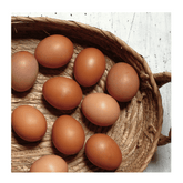 Jones Brothers Free Range Eggs 1
